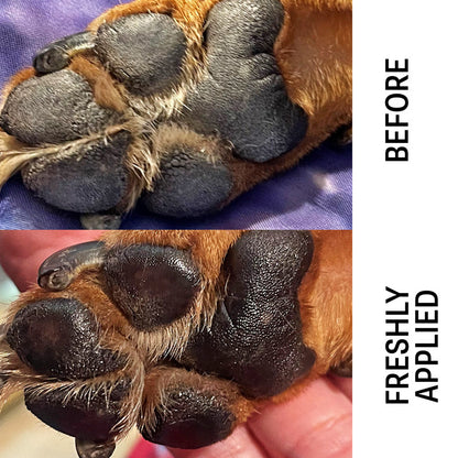 Before-and-after comparison of a dog's paw pads, showing dry, cracked, and discolored pads in the top 'Before' photo and freshly cleaned, dark, healthy-looking pads in the bottom 'Freshly Applied' photo. A human hand is holding the paw, indicating a lifestyle/demo shot.